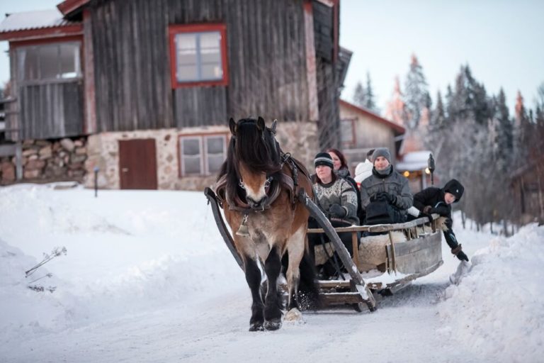 Vinterupplevelser i Sverige